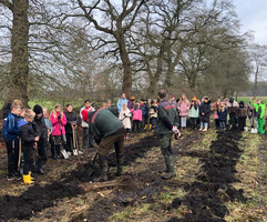 Kinder pflanzen Bäume