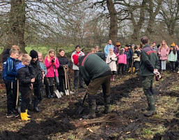 Grundschulkinder pflanzen Bäume