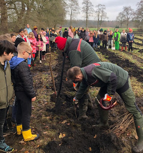 Kinder pflanzen Bäume